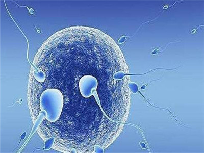 案例
